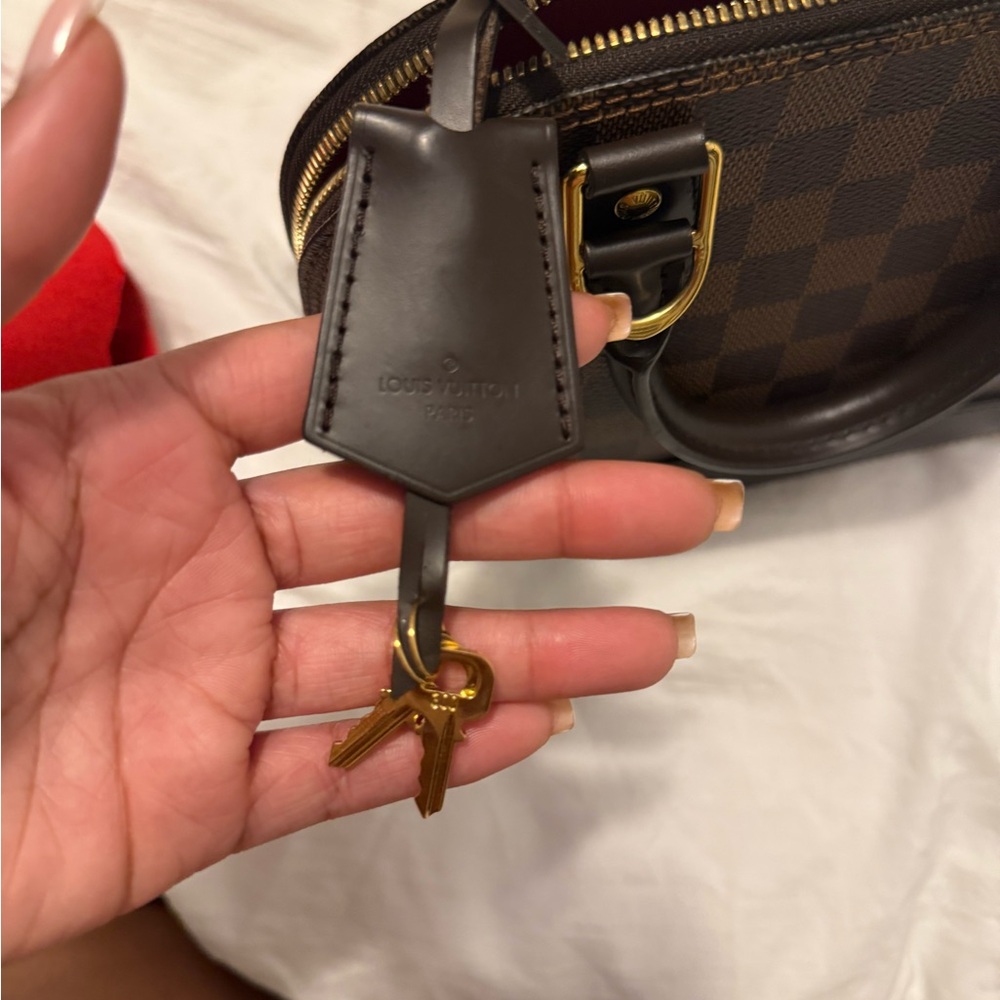 Louis Vuitton Brown Mini Bag - Picture 11 of 13